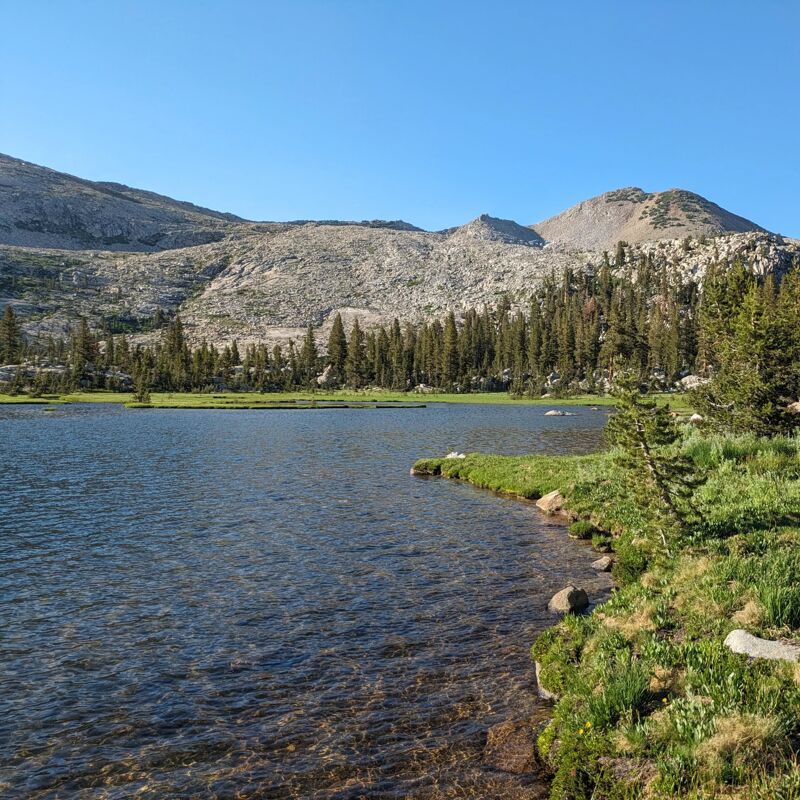 The image shows a serene lake surrounded by lush greenery and a dense forest. In the background, majestic mountains rise against a clear blue sky, creating a picturesque and tranquil scene. The water is calm, reflecting the sky and the surrounding landscape, enhancing the overall sense of peace and natural beauty.